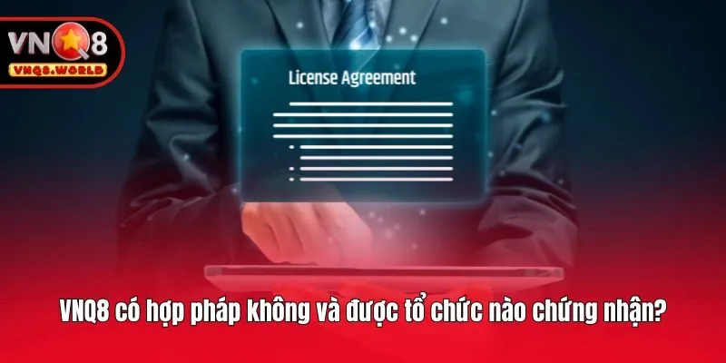VNQ8 có hợp pháp không và được tổ chức nào chứng nhận?